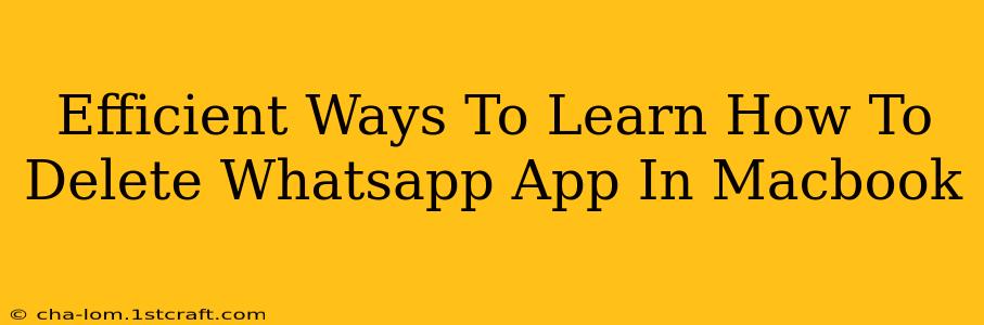 Efficient Ways To Learn How To Delete Whatsapp App In Macbook