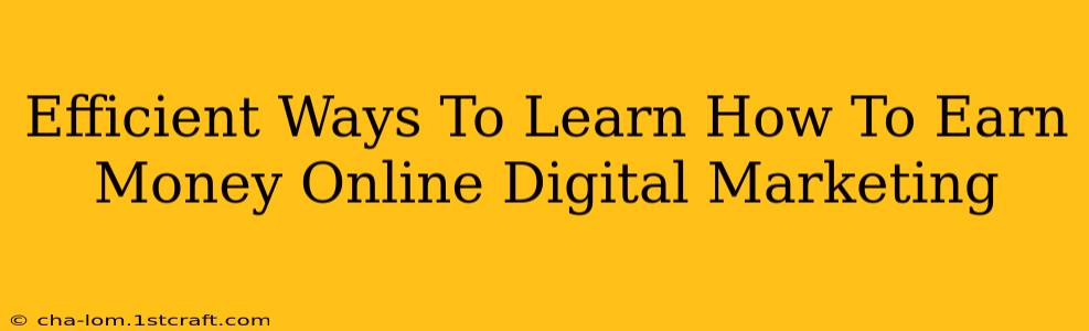 Efficient Ways To Learn How To Earn Money Online Digital Marketing