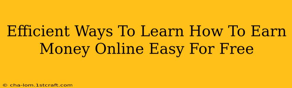 Efficient Ways To Learn How To Earn Money Online Easy For Free