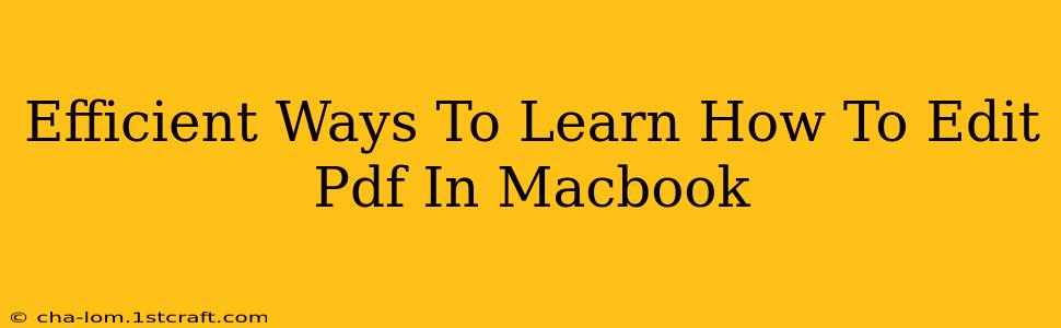 Efficient Ways To Learn How To Edit Pdf In Macbook