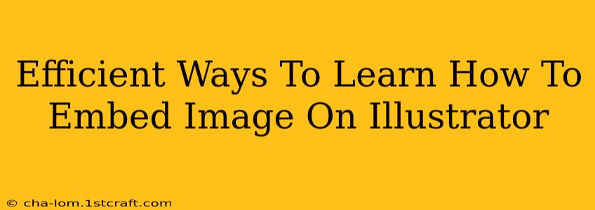 Efficient Ways To Learn How To Embed Image On Illustrator