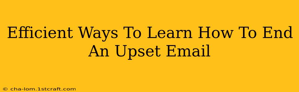 Efficient Ways To Learn How To End An Upset Email