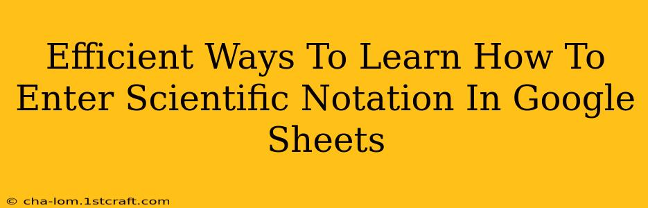 Efficient Ways To Learn How To Enter Scientific Notation In Google Sheets