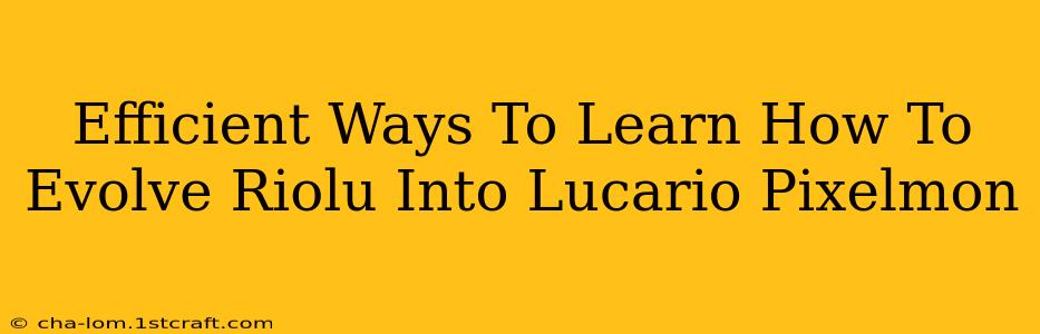 Efficient Ways To Learn How To Evolve Riolu Into Lucario Pixelmon