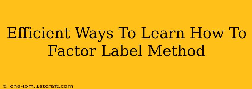 Efficient Ways To Learn How To Factor Label Method