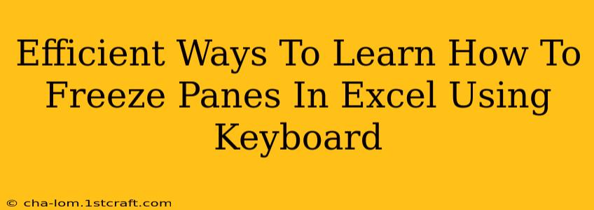 Efficient Ways To Learn How To Freeze Panes In Excel Using Keyboard