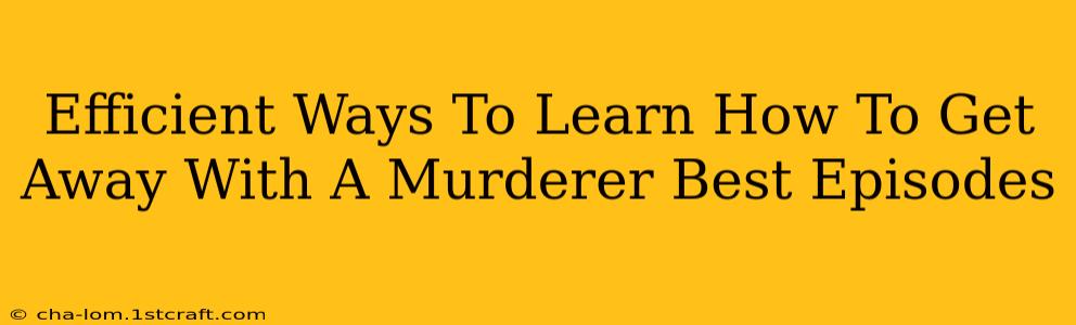 Efficient Ways To Learn How To Get Away With A Murderer Best Episodes