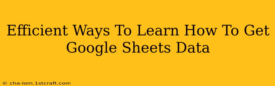 Efficient Ways To Learn How To Get Google Sheets Data