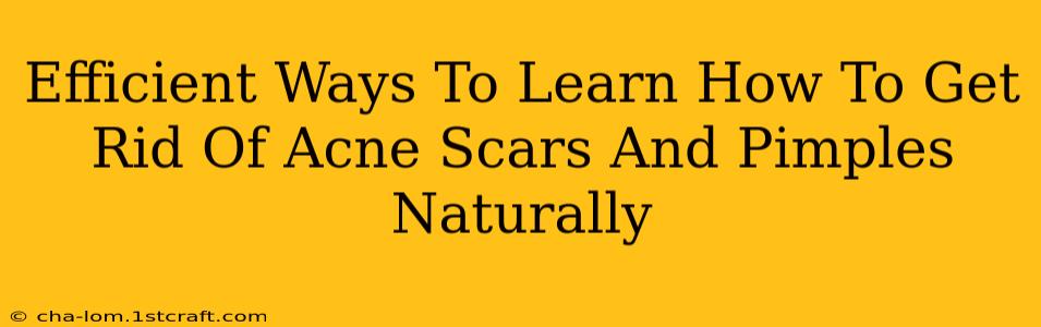 Efficient Ways To Learn How To Get Rid Of Acne Scars And Pimples Naturally