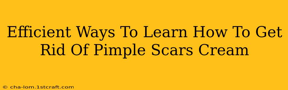 Efficient Ways To Learn How To Get Rid Of Pimple Scars Cream