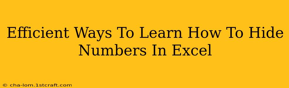 Efficient Ways To Learn How To Hide Numbers In Excel