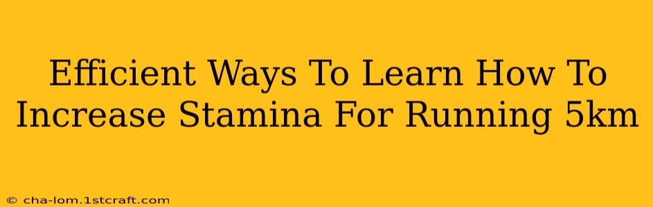 Efficient Ways To Learn How To Increase Stamina For Running 5km