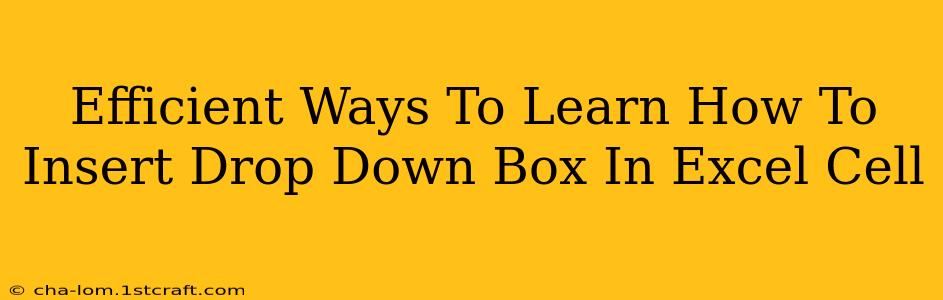 Efficient Ways To Learn How To Insert Drop Down Box In Excel Cell