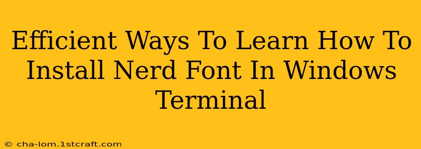 Efficient Ways To Learn How To Install Nerd Font In Windows Terminal