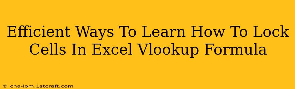 Efficient Ways To Learn How To Lock Cells In Excel Vlookup Formula