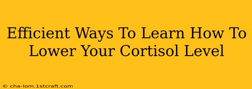 Efficient Ways To Learn How To Lower Your Cortisol Level