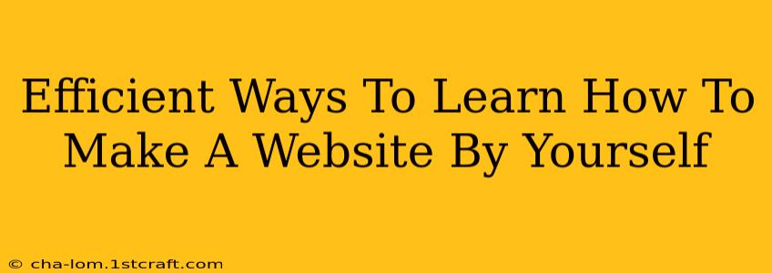 Efficient Ways To Learn How To Make A Website By Yourself