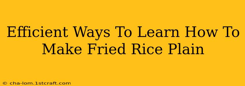 Efficient Ways To Learn How To Make Fried Rice Plain