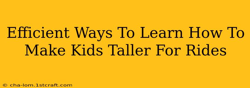 Efficient Ways To Learn How To Make Kids Taller For Rides