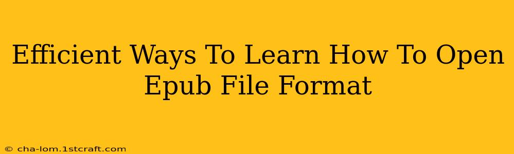 Efficient Ways To Learn How To Open Epub File Format