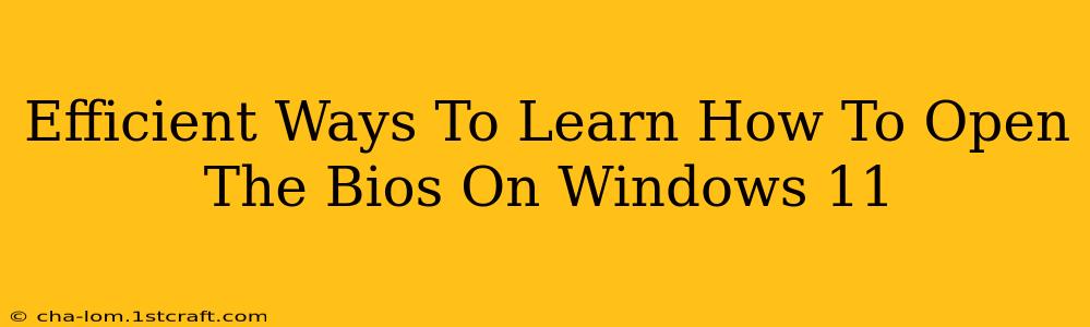 Efficient Ways To Learn How To Open The Bios On Windows 11