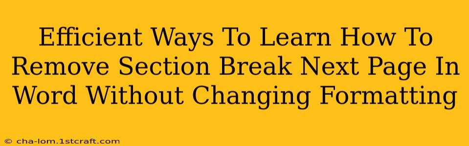 Efficient Ways To Learn How To Remove Section Break Next Page In Word Without Changing Formatting