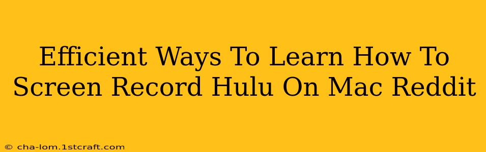 Efficient Ways To Learn How To Screen Record Hulu On Mac Reddit