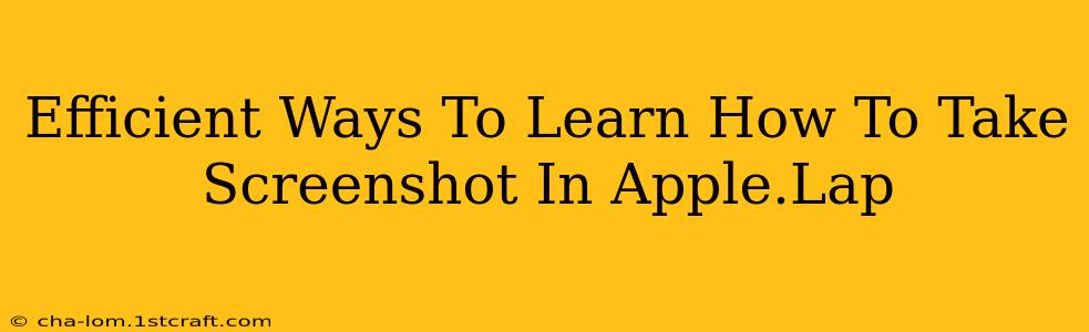 Efficient Ways To Learn How To Take Screenshot In Apple.Lap