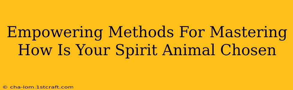 Empowering Methods For Mastering How Is Your Spirit Animal Chosen