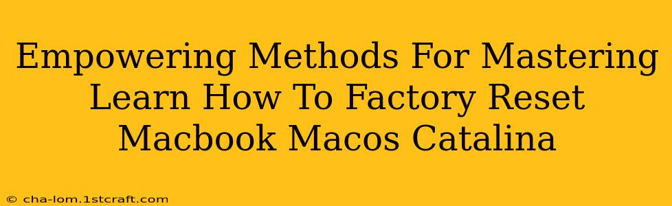 Empowering Methods For Mastering Learn How To Factory Reset Macbook Macos Catalina