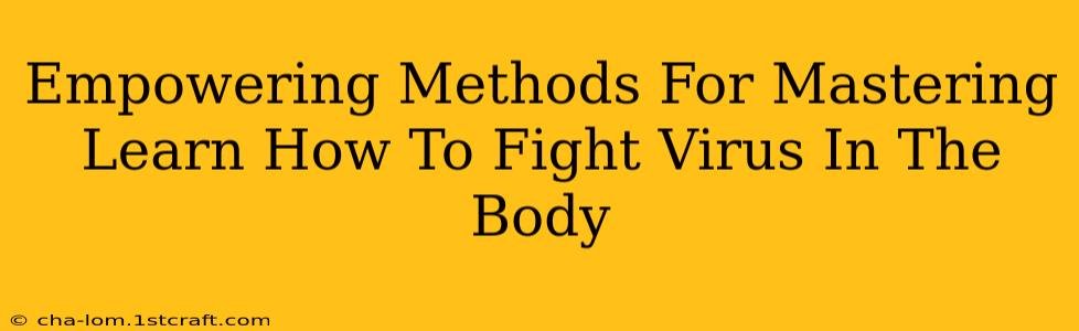 Empowering Methods For Mastering Learn How To Fight Virus In The Body