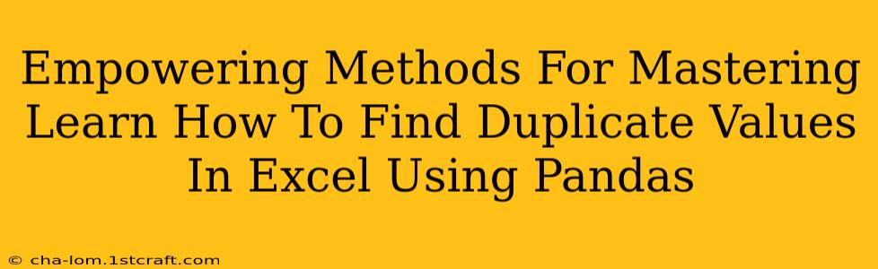 Empowering Methods For Mastering Learn How To Find Duplicate Values In Excel Using Pandas