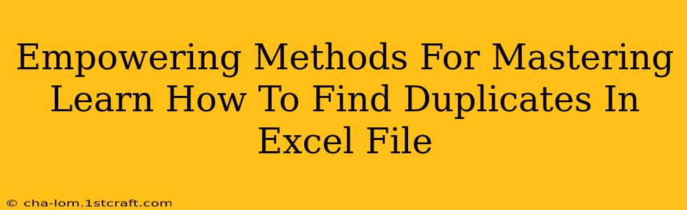 Empowering Methods For Mastering Learn How To Find Duplicates In Excel File