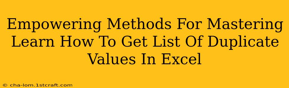 Empowering Methods For Mastering Learn How To Get List Of Duplicate Values In Excel