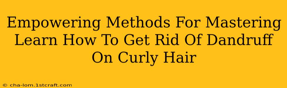 Empowering Methods For Mastering Learn How To Get Rid Of Dandruff On Curly Hair