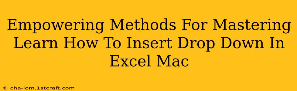 Empowering Methods For Mastering Learn How To Insert Drop Down In Excel Mac