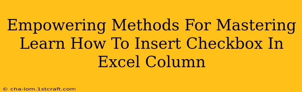 Empowering Methods For Mastering Learn How To Insert Checkbox In Excel Column