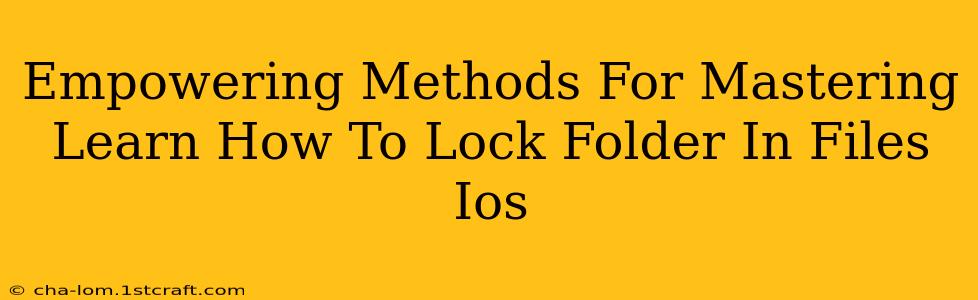 Empowering Methods For Mastering Learn How To Lock Folder In Files Ios