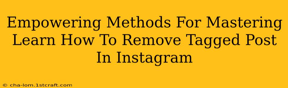 Empowering Methods For Mastering Learn How To Remove Tagged Post In Instagram