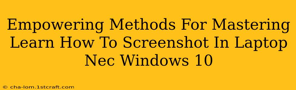 Empowering Methods For Mastering Learn How To Screenshot In Laptop Nec Windows 10