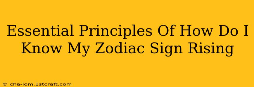 Essential Principles Of How Do I Know My Zodiac Sign Rising