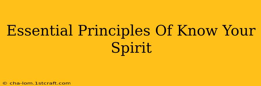 Essential Principles Of Know Your Spirit