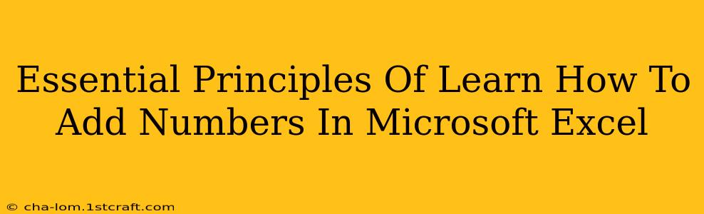 Essential Principles Of Learn How To Add Numbers In Microsoft Excel