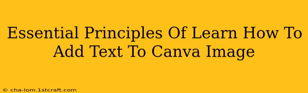 Essential Principles Of Learn How To Add Text To Canva Image