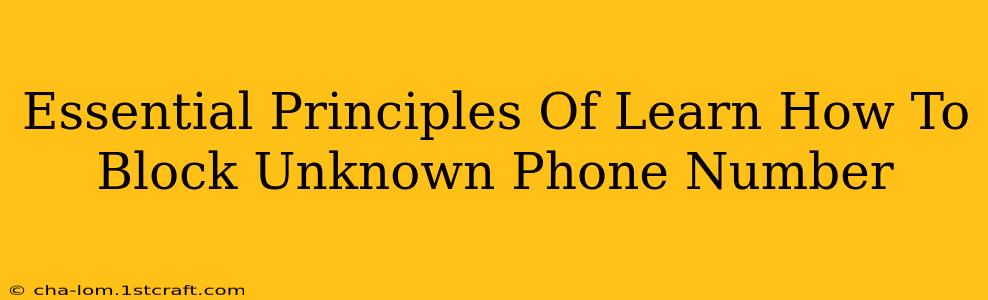 Essential Principles Of Learn How To Block Unknown Phone Number