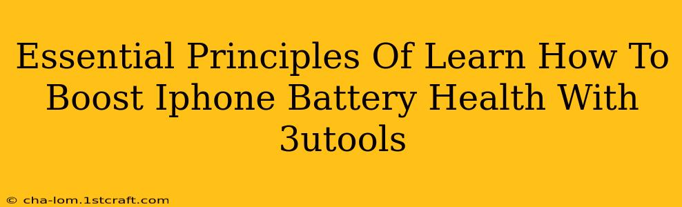 Essential Principles Of Learn How To Boost Iphone Battery Health With 3utools