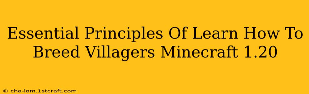 Essential Principles Of Learn How To Breed Villagers Minecraft 1.20