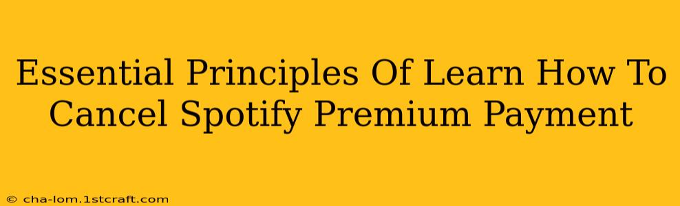 Essential Principles Of Learn How To Cancel Spotify Premium Payment