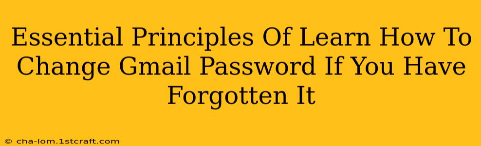 Essential Principles Of Learn How To Change Gmail Password If You Have Forgotten It