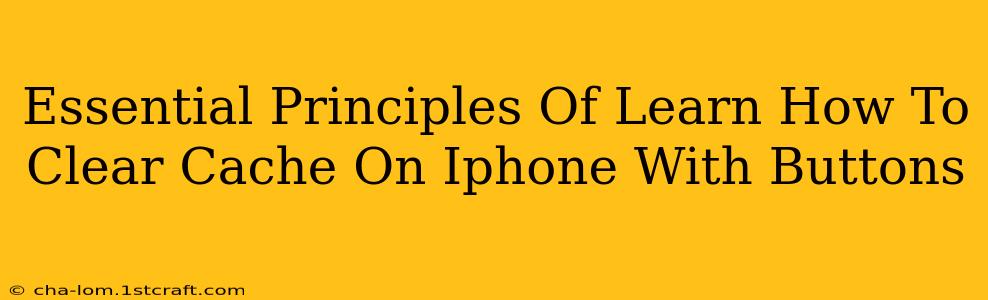 Essential Principles Of Learn How To Clear Cache On Iphone With Buttons